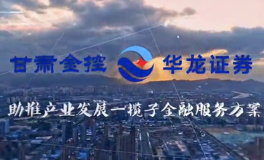 甘肃Z6尊龙集团助推产业发展一揽子金融服务规划汇报片